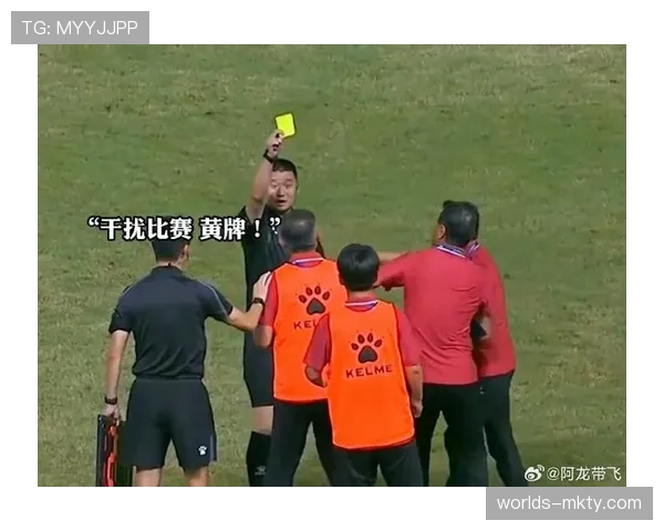 裁判委员会内部会议流出：将更严格统一对“进攻有利”原则在肋部被侵犯时的判罚