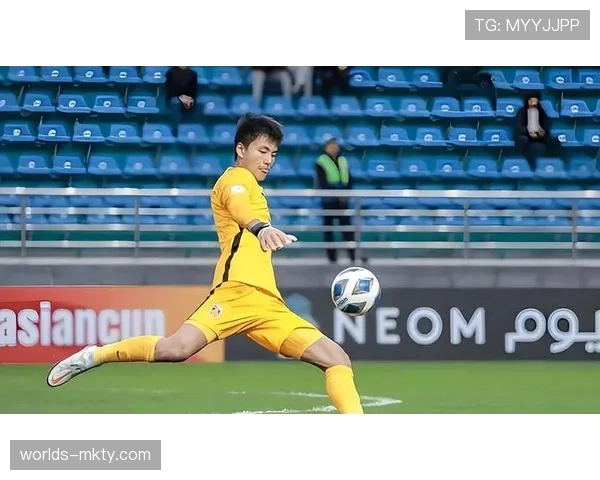 德甲俱乐部数据分析国际合作项目评估，成效显著